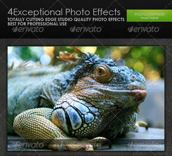 Exceptional Photo Effects Exceptional Photo Effects