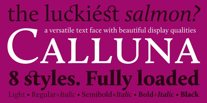 Calluna - a text typeface with flow