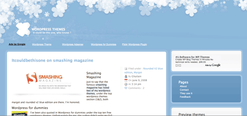 Most Beautiful Feminine Wordpress Themes for Woman Blogs 2 ItCouldBeThisOne