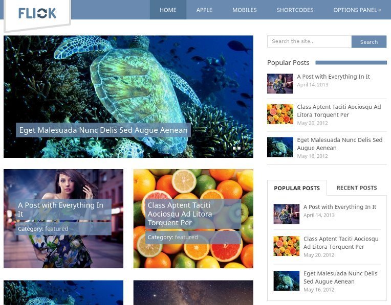 FREE Premium & Beautiful WordPress Themes from June 2013 3 Flick