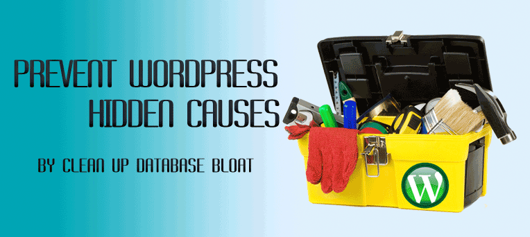 Prevent Hidden Causes by Clean up WordPress Database Bloat Issues