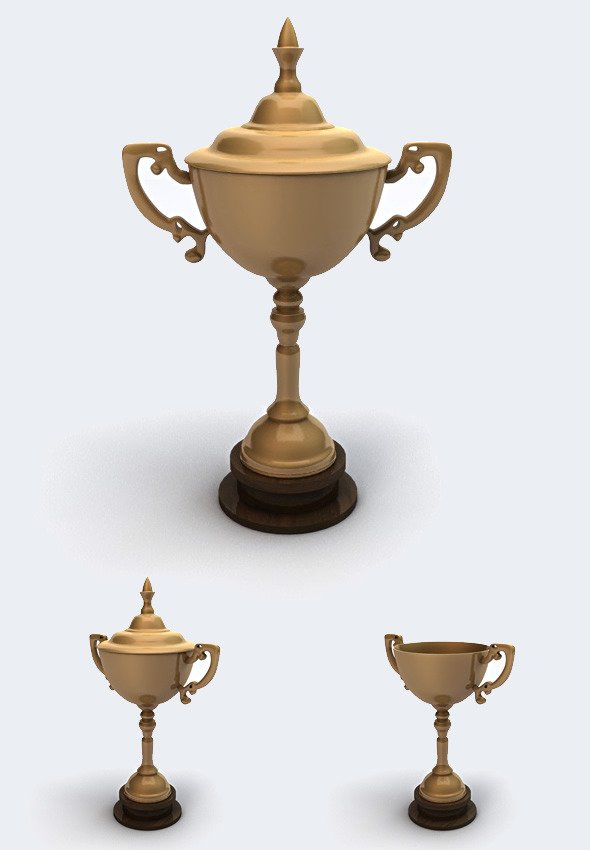 Trophy 3D Model