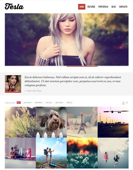 Tesla WordPress Theme