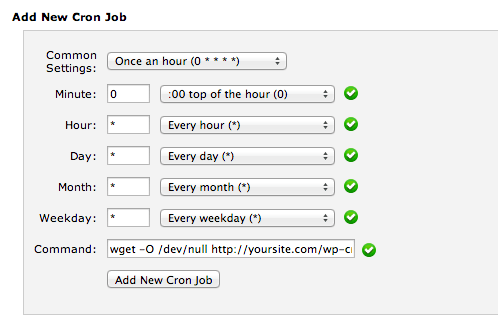 CPanel Cron Job Settings