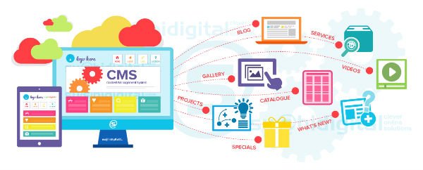 Which Way is the Road to Future Headed for CMS and Web Design