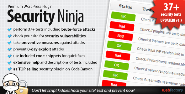 Security Ninja