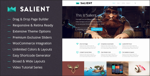 Salient - Responsive Multi-Purpose Theme