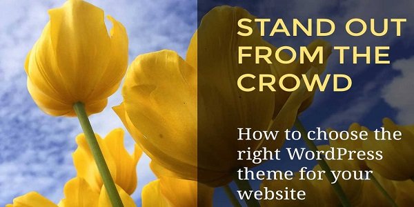 Tips to make your Stand-Out WordPress Website