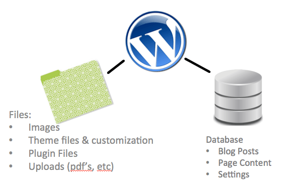 WordPress Database Relation