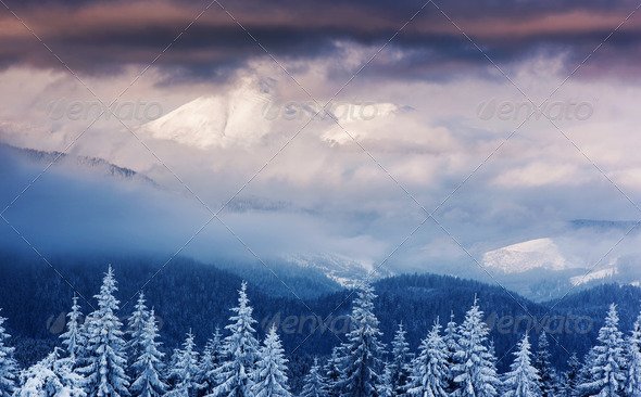 Winter Mountain