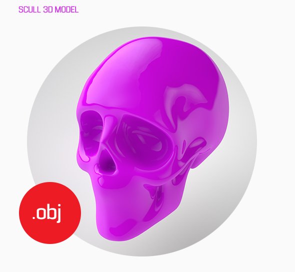 Scull 3D model