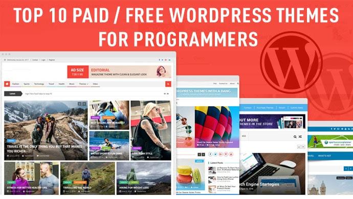 Top 10 Paid/Free WordPress Themes for Programmers