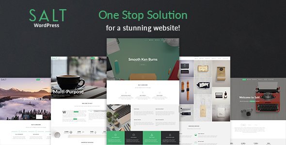 NARGA's FREE Premium WordPress Themes, Plugins, Assets in May 2018 3 Salt | Responsive Multi-Purpose WordPress Theme