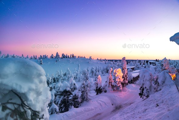 Fantastic winter sunrise in mountains with snow covered fir trees