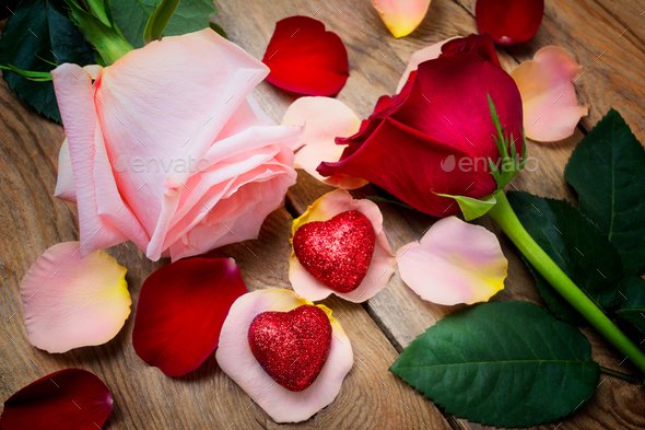 Valentines Day greeting with pink and red roses and two hearts on the rustic wooden background, wedding day invitation.