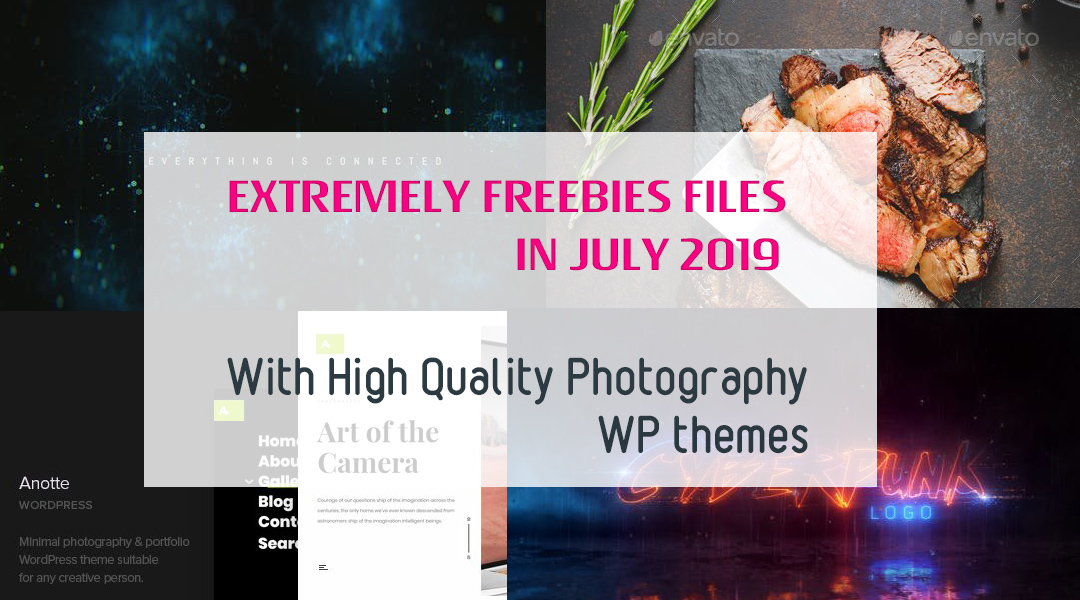 Extremely FREEBIES Files in July 2019 with High Quality Photography WP Themes