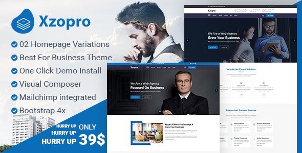 Xzopro - Finance And Business Consulting WordPress Theme