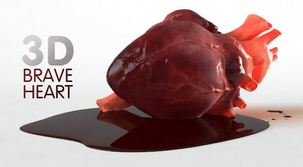 Brave Heart (3D model of human heart)