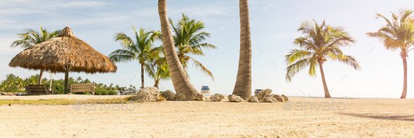 Tropical beach