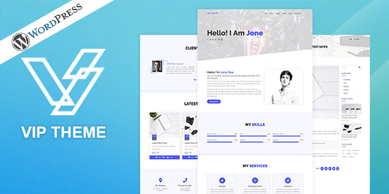 VIP WordPress Theme