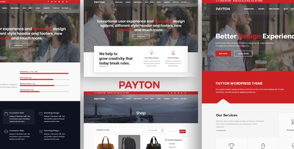 Payton - Business Creative WordPress Multipurpose Theme