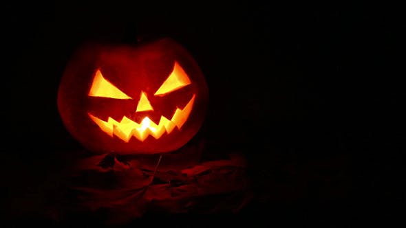 Halloween Pumpkin Video